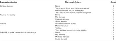 Study on the Mechanism of Baimai Ointment in the Treatment of Osteoarthritis Based on Network Pharmacology and Molecular Docking with Experimental Verification